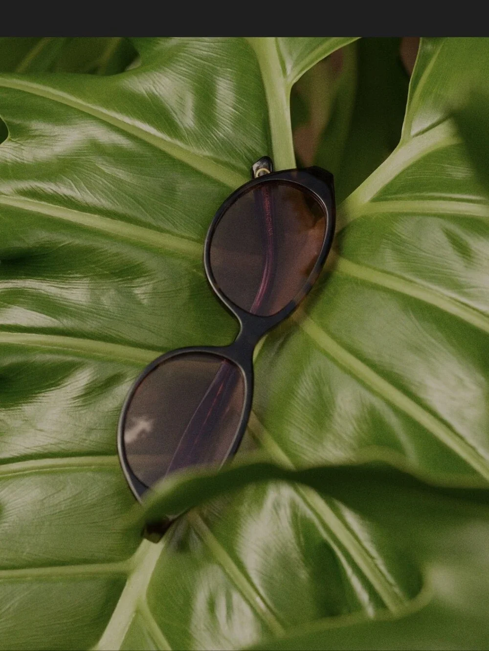 Black Frame Sunglasses with Pink Lenses - Women Accessories